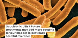 Certain strains of E. coli can outcompete disease-causing microbes for resources. NIAID/Flickr, CC BY-SA